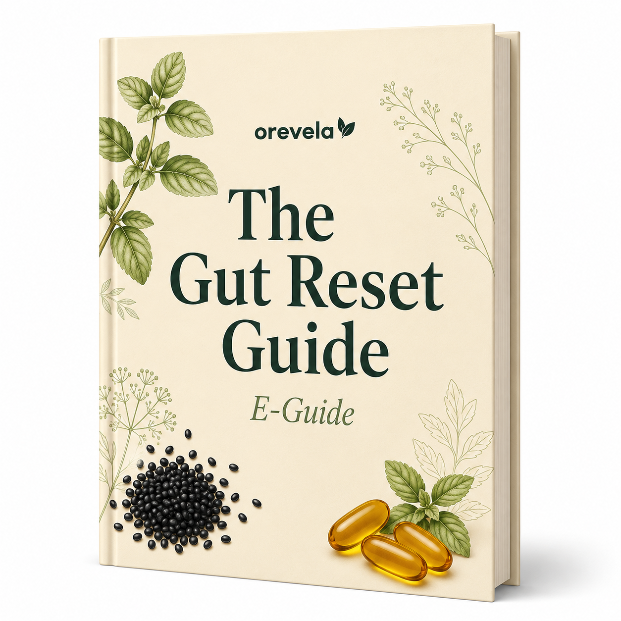 The Gut Reset Guide